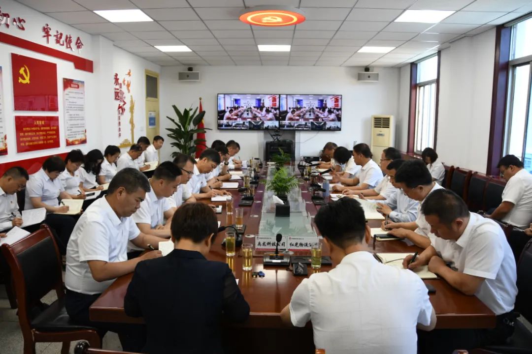 奮楫篤行持續(xù)發(fā)力 乘勢(shì)而上再創(chuàng)佳績(jī)——龍鋼集團(tuán)召開(kāi)傳達(dá)學(xué)習(xí)陜鋼集團(tuán)5月份經(jīng)濟(jì)運(yùn)行分析會(huì)精神專題會(huì)