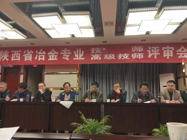 龍鋼集團(tuán)參加省冶金專業(yè)技師、高級(jí)技師評(píng)審會(huì)