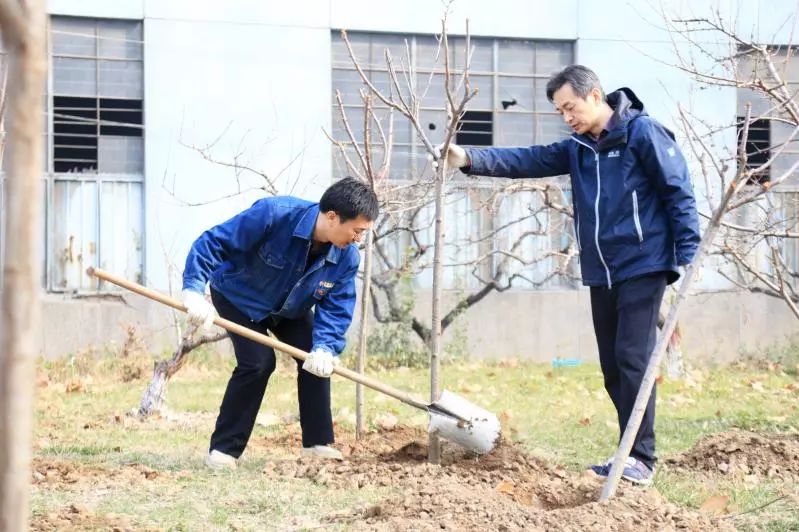  植樹育苗 綠化家園——西鋼、紅光物流公司開展春季植樹活動(dòng)