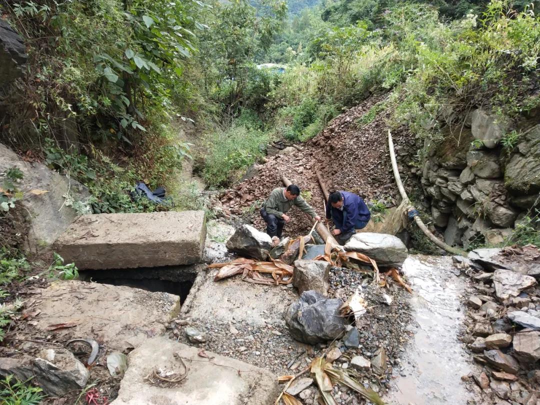 做本職、助和諧、促提升