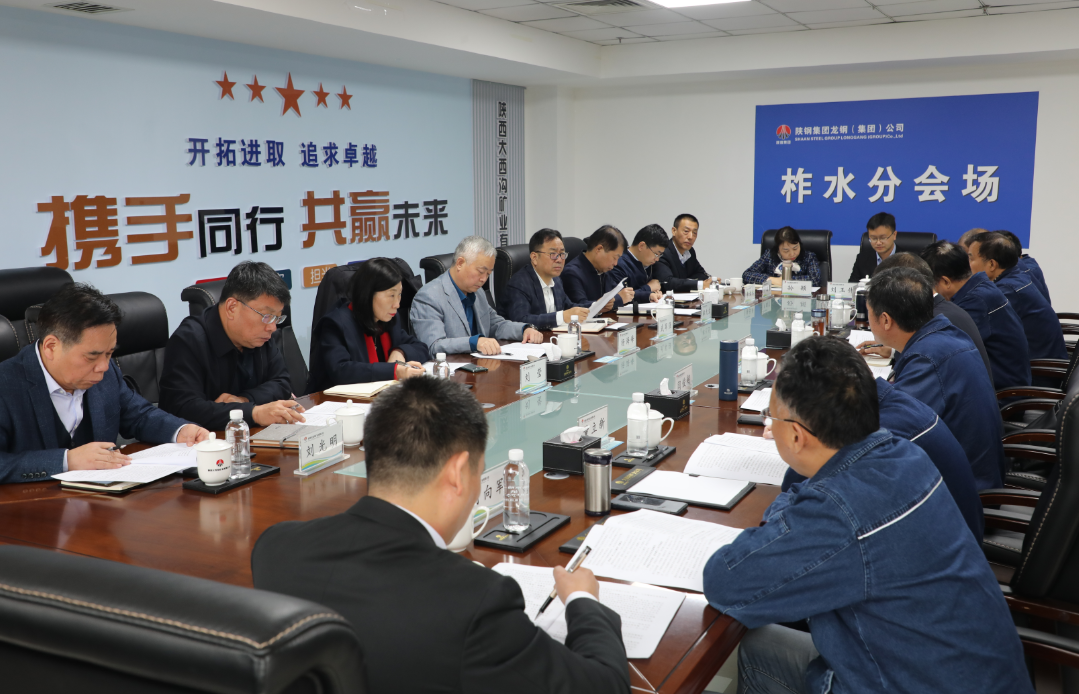 楊海峰到大西溝礦業(yè)公司調(diào)研指導(dǎo)菱鐵礦開(kāi)發(fā)工作