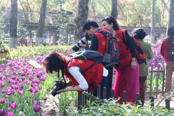 龍鋼集團(tuán)工會攝影協(xié)會組織攝影采風(fēng)活動